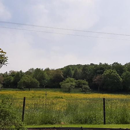 Le Broctia Rose Daire Namur Dış mekan fotoğraf