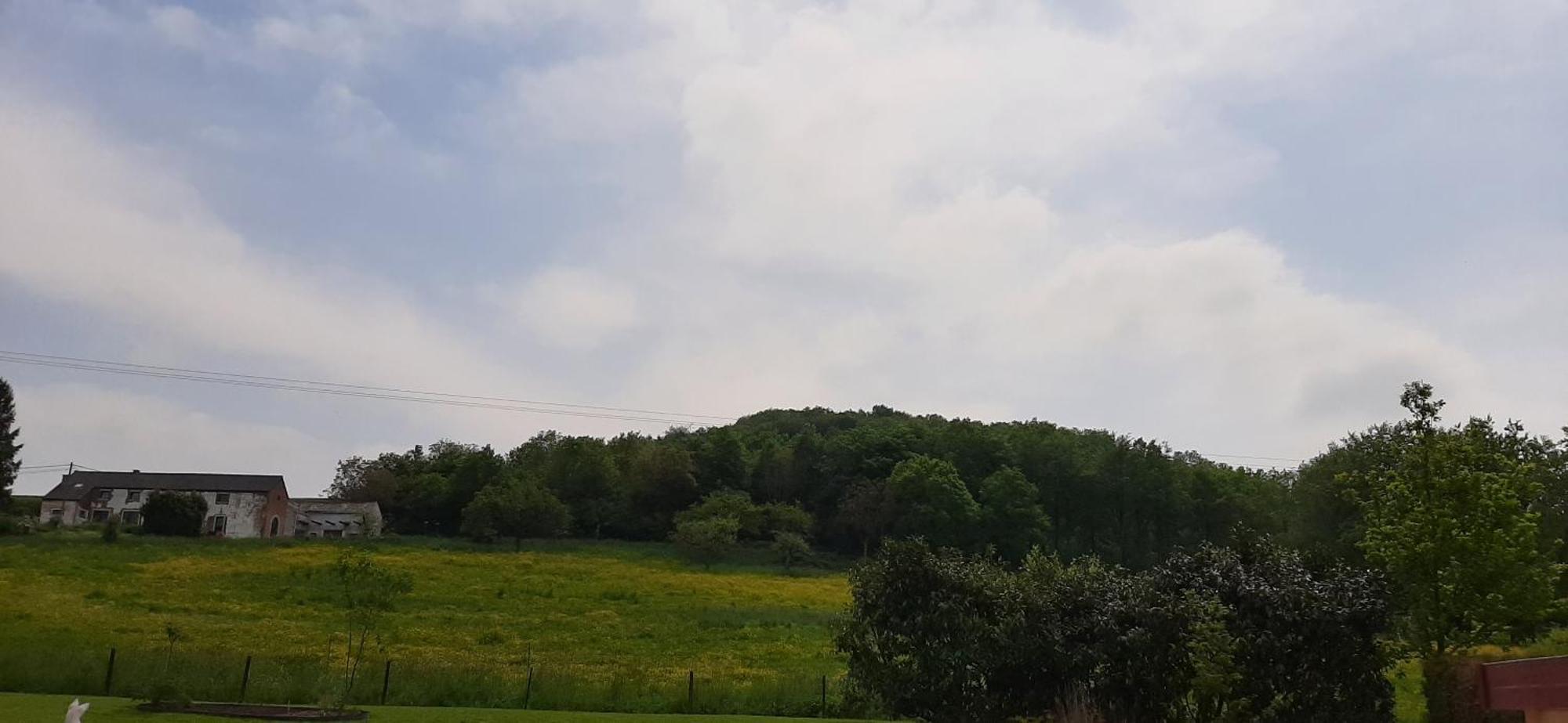 Le Broctia Rose Daire Namur Dış mekan fotoğraf