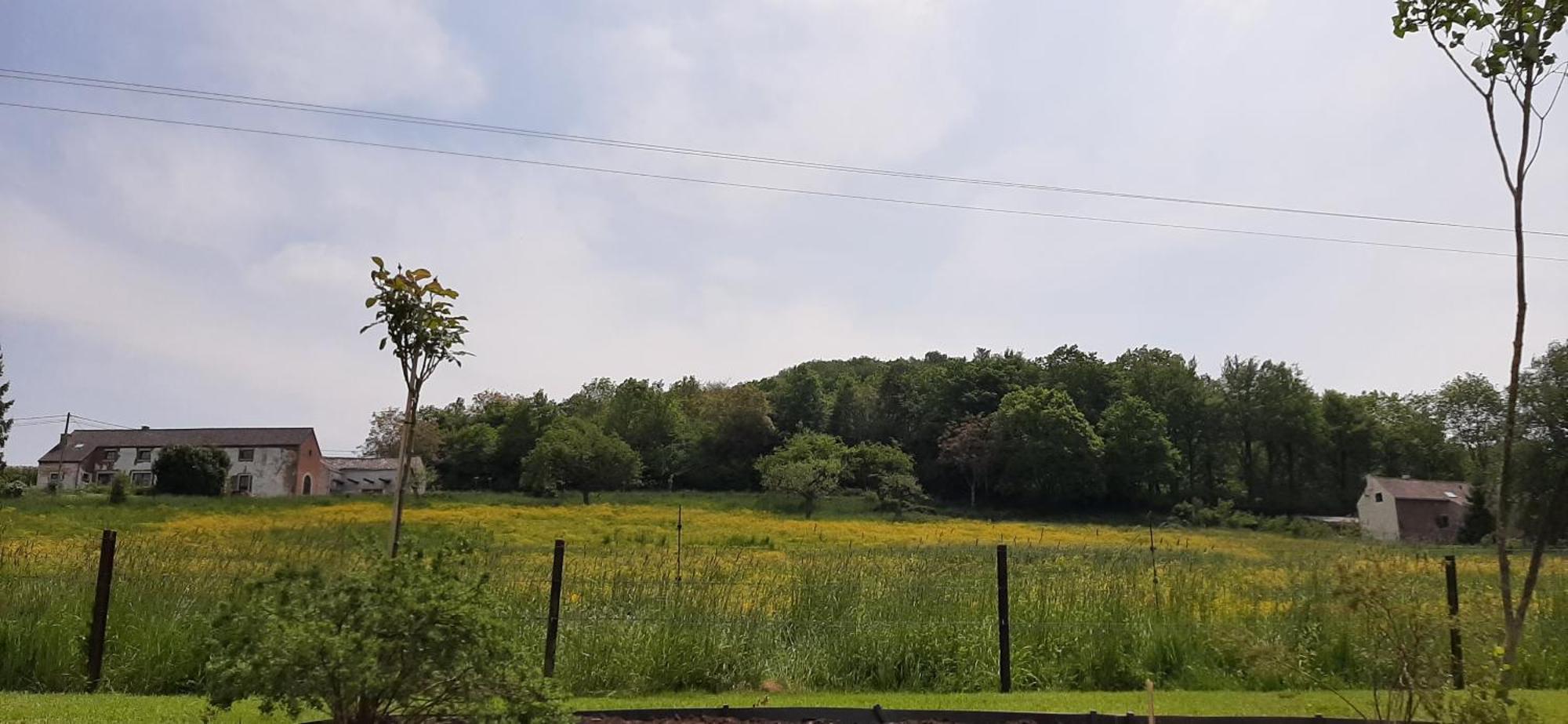 Le Broctia Rose Daire Namur Dış mekan fotoğraf